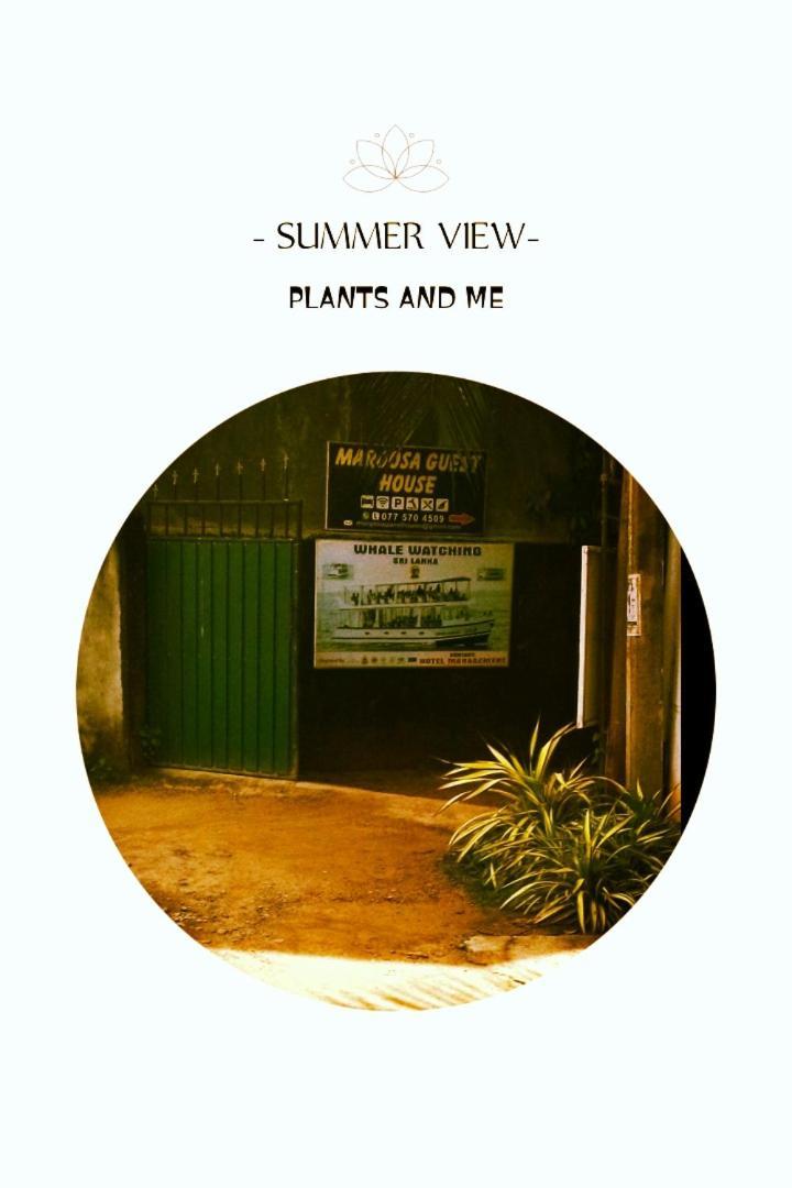 Margosa Guesthouse Mirissa Exterior photo